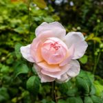 探索喜乐娱乐平台:带你体验全新的在线娱乐世界 1k9tikkp2f