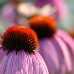 探索四季体育的魅力:如何选择适合的运动项目 4xzwr