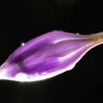 探索如意竞猜官网:全面解析最新竞猜活动与规则 7pnawr