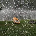 探索冠军体育CMP的成功秘诀与市场竞争优势 mpldej8