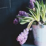 探索天行体育的多元化项目与创新发展之路 n7795vby