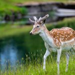 探索亿万28链接的秘密:如何在网络中获取更多收益 tkxlrv