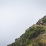 287期开奖号码正式公布结果查询 8nopj2