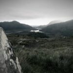 273d开奖结果最新公布,今日中奖号码全面揭晓 lme4x