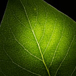 2818年第96期开奖结果最新公布 xs2kca